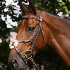 Hot Bridon Thursday muserolle combinée - Collection Week - Bridons Et Brides·Bridon Cuir