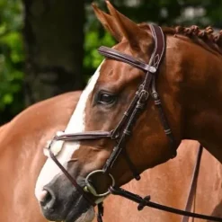 Clearance Bridon Tuesday muserolle croisée - Collection Week - Bridons Et Brides·Bridon Cuir