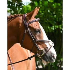 Clearance Bridon Tuesday muserolle croisée - Collection Week - Bridons Et Brides·Bridon Cuir