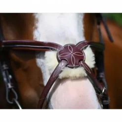 Clearance Bridon Tuesday muserolle croisée - Collection Week - Bridons Et Brides·Bridon Cuir