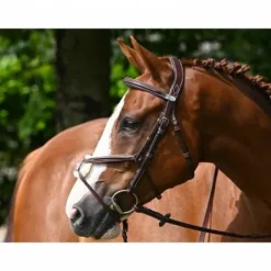 Clearance Bridon Tuesday muserolle croisée - Collection Week - Bridons Et Brides·Bridon Cuir
