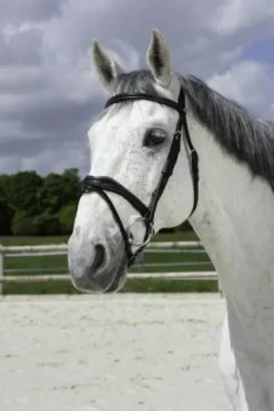 Online Bridon vague - Bridons Et Brides·Bridon Cuir