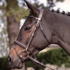 Best Bridon Wednesday muserolle combinée - Collection Week - Jump'in Bridons Et Brides·Bridon Cuir