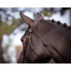 Best Bridon Wednesday muserolle combinée - Collection Week - Jump'in Bridons Et Brides·Bridon Cuir