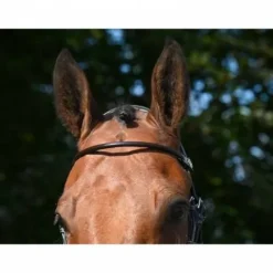 Best Bridon Wednesday muserolle combinée - Collection Week - Jump'in Bridons Et Brides·Bridon Cuir