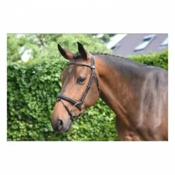 Best Bridon Wednesday muserolle combinée - Collection Week - Jump'in Bridons Et Brides·Bridon Cuir