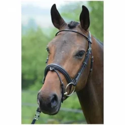 Best Bridon Wednesday muserolle combinée - Collection Week - Jump'in Bridons Et Brides·Bridon Cuir