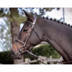 Best Bridon Wednesday muserolle combinée - Collection Week - Jump'in Bridons Et Brides·Bridon Cuir