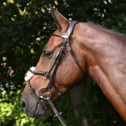 Best Bridon Wednesday muserolle combinée - Collection Week - Jump'in Bridons Et Brides·Bridon Cuir