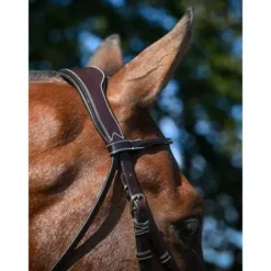 Best Bridon Wednesday muserolle combinée - Collection Week - Jump'in Bridons Et Brides·Bridon Cuir