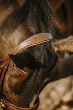 Discount Bridon Work - Bridons Et Brides·Bridon Cuir