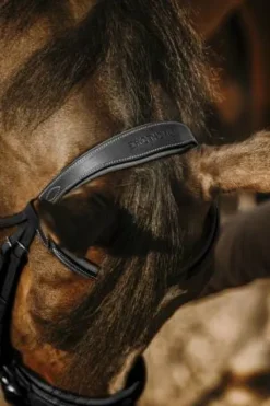 Discount Bridon Work - Bridons Et Brides·Bridon Cuir