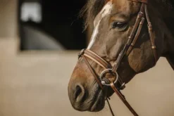 Discount Bridon Work - Bridons Et Brides·Bridon Cuir