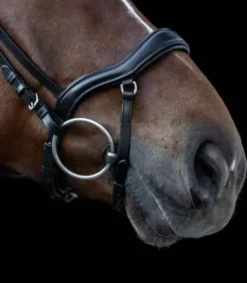 Hot Bridon X-Line New Shape II Bridons Et Brides·Bridon Cuir