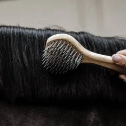 Clearance Brosse à crin - Brosses Pour Les Crins