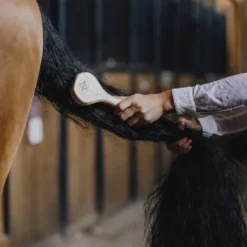 Clearance Brosse à crin - Brosses Pour Les Crins