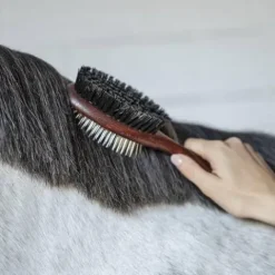 Online Brosse a crins double - Brosses Pour Les Crins