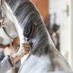 Online Brosse a crins double - Brosses Pour Les Crins