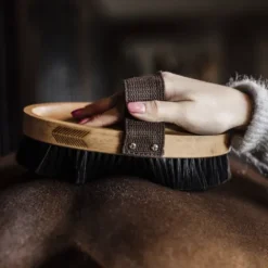 Brosse douce à poils durs - Kentucky Brosses Douces