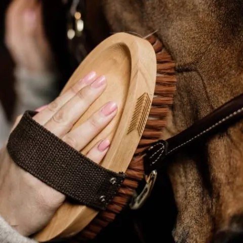 Outlet Brosse douce à poils très doux - Kentucky Brosses Douces