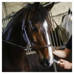 Online Calmant en seringue Instant Magic  - Comportements·Nervosité Et Stress