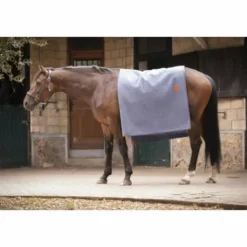 Outlet Carré Wooltouch Paddock Sport (2 coloris) Couvertures Cheval