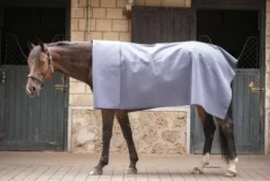 Outlet Carré Wooltouch Paddock Sport (2 coloris) Couvertures Cheval