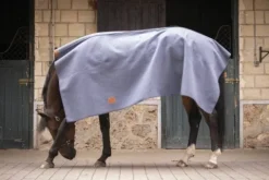Outlet Carré Wooltouch Paddock Sport (2 coloris) Couvertures Cheval