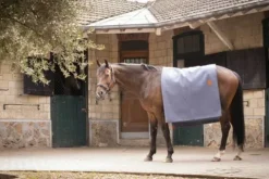 Outlet Carré Wooltouch Paddock Sport (2 coloris) Couvertures Cheval