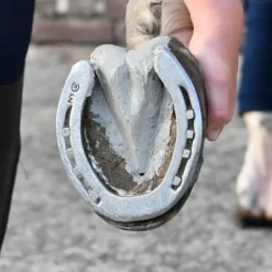 Clearance Cataplasme d'argile pour fourchettes Natural'Must - Produits De Soin Sabots