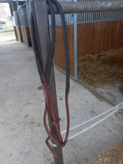 Discount Cause double emploi vends rênes Rênes·Rênes Anti-dérapantes|Rênes·Rênes En Caoutchouc