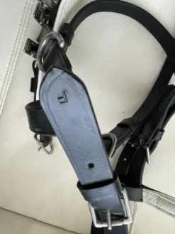 Caveçon cuir Caveçons