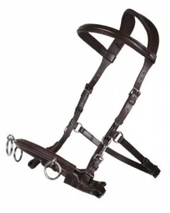 Hot Caveçon en cuir Caveçons