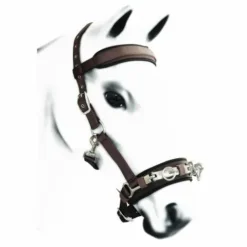 Hot Caveçon en nylon rembourrage en néoprène Caveçons