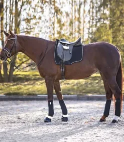 Best Chabraque anatomique Lugano - - Liberté au garrot Tapis De Dressage|Tapis De Selle