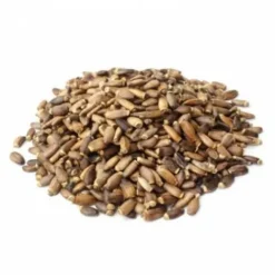 New Chardon Marie - 1Kg - Drainage Du Cheval·Drainage Des Reins|Drainage Du Cheval·Drainage Du Foie