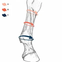 New Chaussettes de compression EQUI Compress - Bandages|Sous Bandes Et Cotons