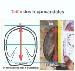 New Chausson Hipposandales