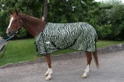 Hot Chemise anti-mouches zébré shetland Chemises Anti-Mouches|Chemises Cheval