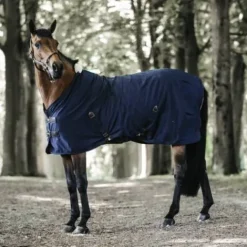 Online Chemise coton - Kentucky Chemises Cheval