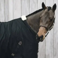 Online Chemise coton - Kentucky Chemises Cheval