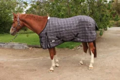 New Chemise de box 0 GR -   violet pour shetland Couvertures Cheval