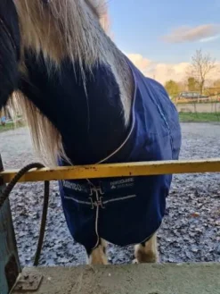 Hot Chemise de box Horseware Rambo Couvertures Cheval