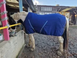 Hot Chemise de box Horseware Rambo Couvertures Cheval