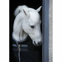 Sale Chemise de box - Horseware Couvertures Cheval
