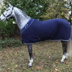 Chemise de box séchante Thermo - Chemises Cheval