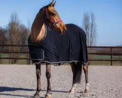 Outlet Chemise de présentation polaire Chemises Cheval