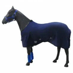 Best Chemise en coton sten Chemises Cheval