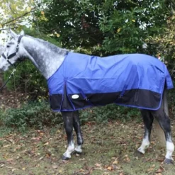 Hot Chemise imperméable et respirante 600 deniers 0gr bleu royal/noir - Chemises Cheval