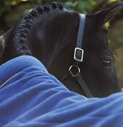 Discount Chemise Polaire Cosy Chemises Cheval